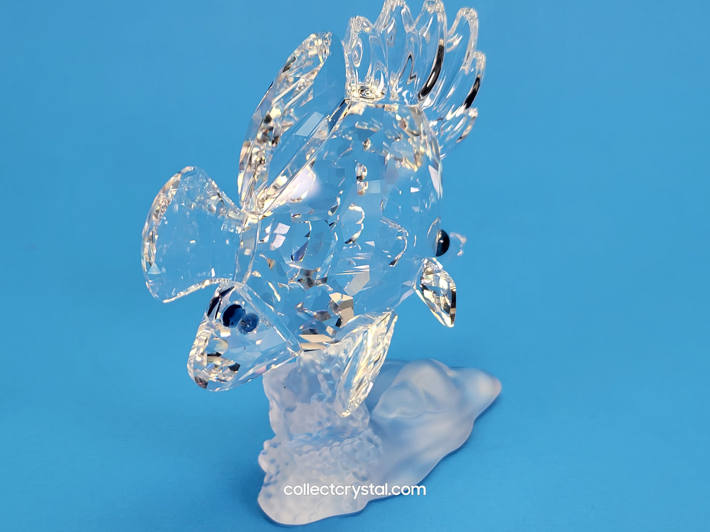 Longnose Butterfly Crystal Fish Figurine 2009 MIB Complete # 666567