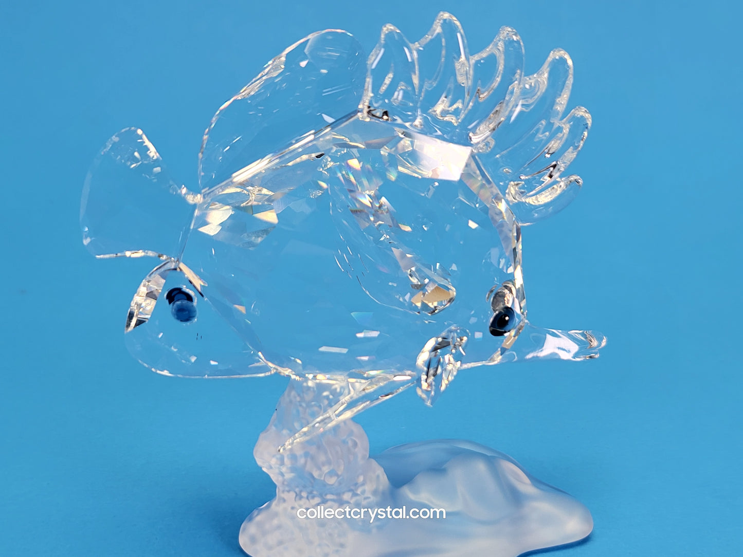 Longnose Butterfly Crystal Fish Figurine 2009 MIB Complete # 666567