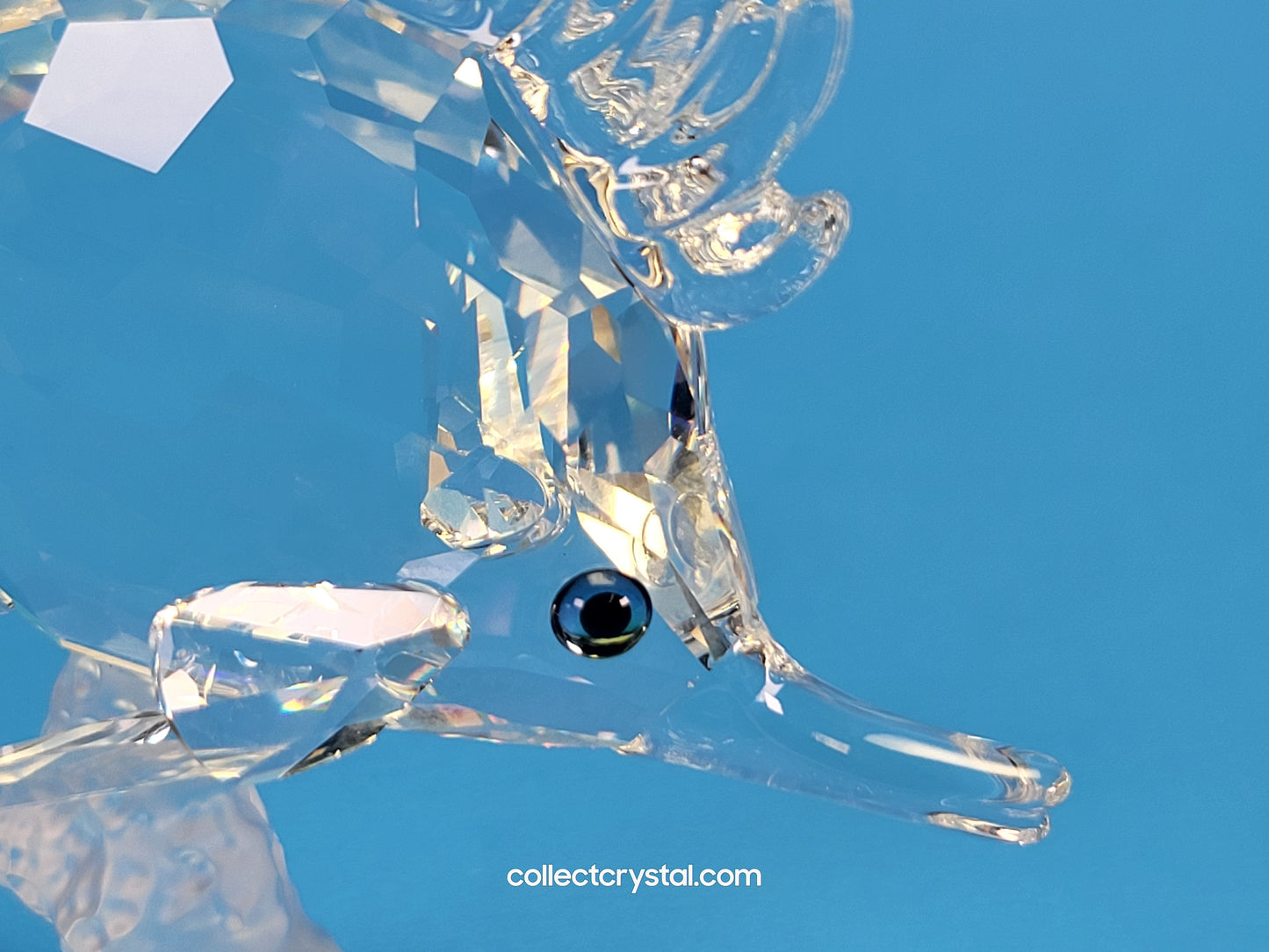 Longnose Butterfly Crystal Fish Figurine 2009 MIB Complete # 666567