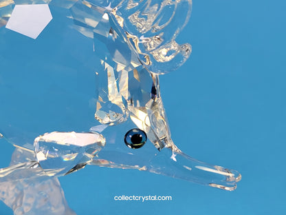 Longnose Butterfly Crystal Fish Figurine 2009 MIB Complete # 666567