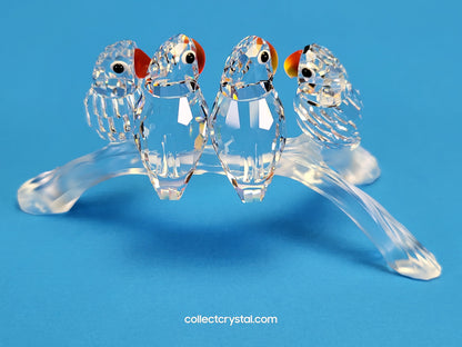 LOVEBIRDS BABY 199123