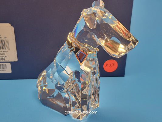 SYMBOLS – DOG 289202