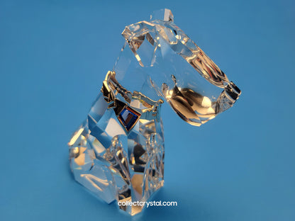 SYMBOLS – DOG 289202