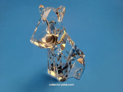 SYMBOLS – DOG 289202
