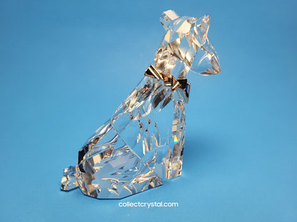 SYMBOLS – DOG 289202