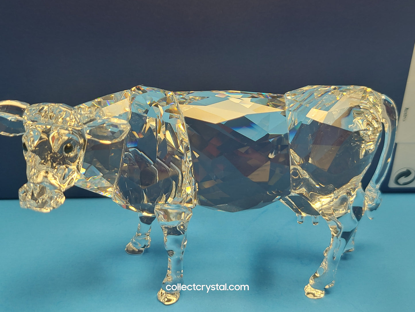 Cow # 905775 Farm Animal Mother