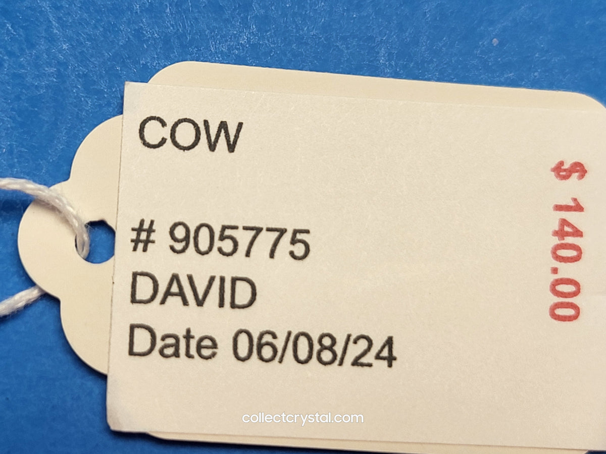 MOTHER COW 905775