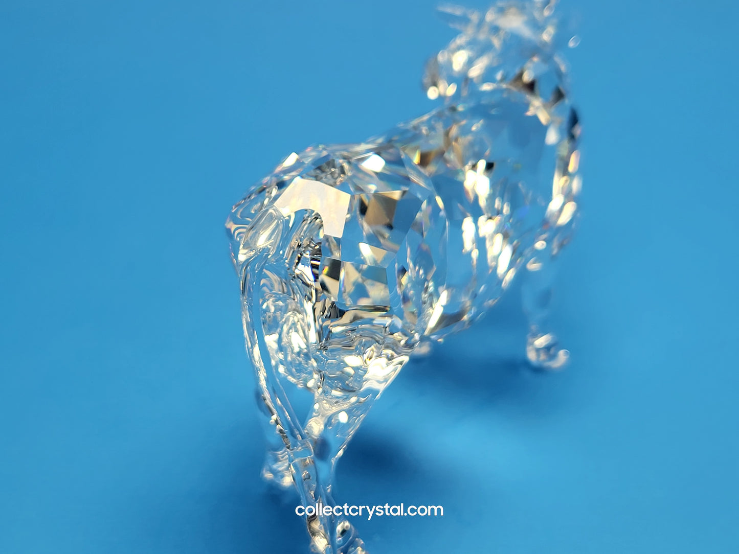 Cow # 905775 Farm Animal Mother