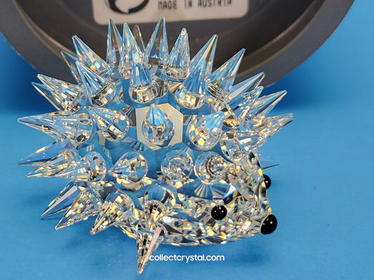 HEDGEHOG OVAL MEDIUM (NO WHISKERS) 013265