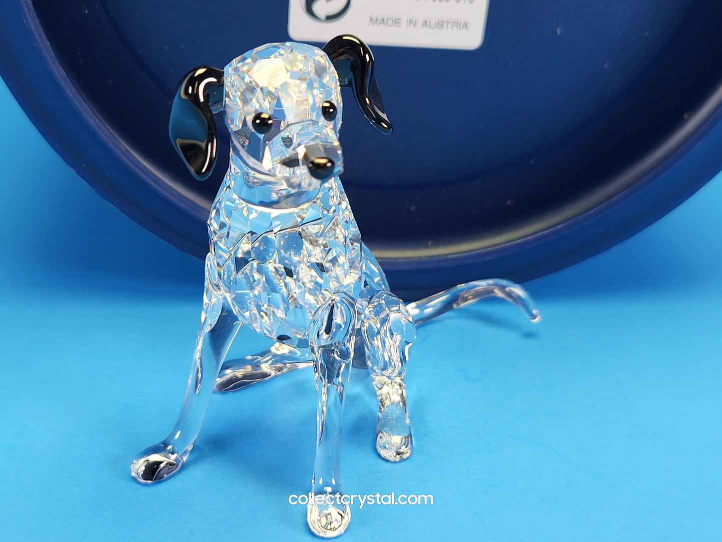 DALMATIAN MOTHER 628948