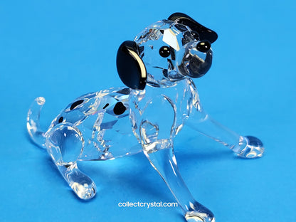 DALMATIAN PUPPY SITTING 628909