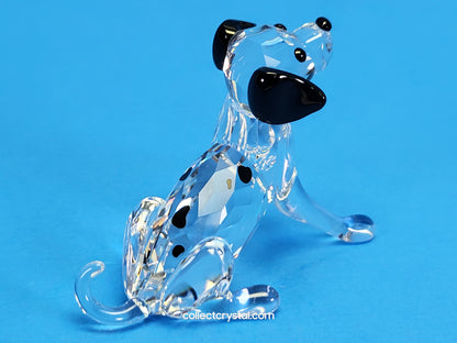 DALMATIAN PUPPY SITTING 628909
