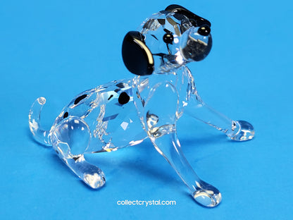 DALMATIAN PUPPY SITTING 628909