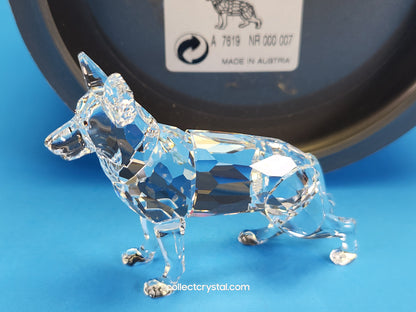 German Shepherd Dog # 235484 Retired 2004