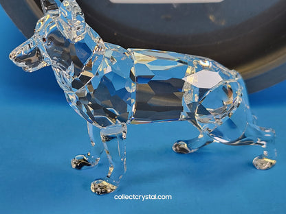 German Shepherd Dog # 235484 Retired 2004