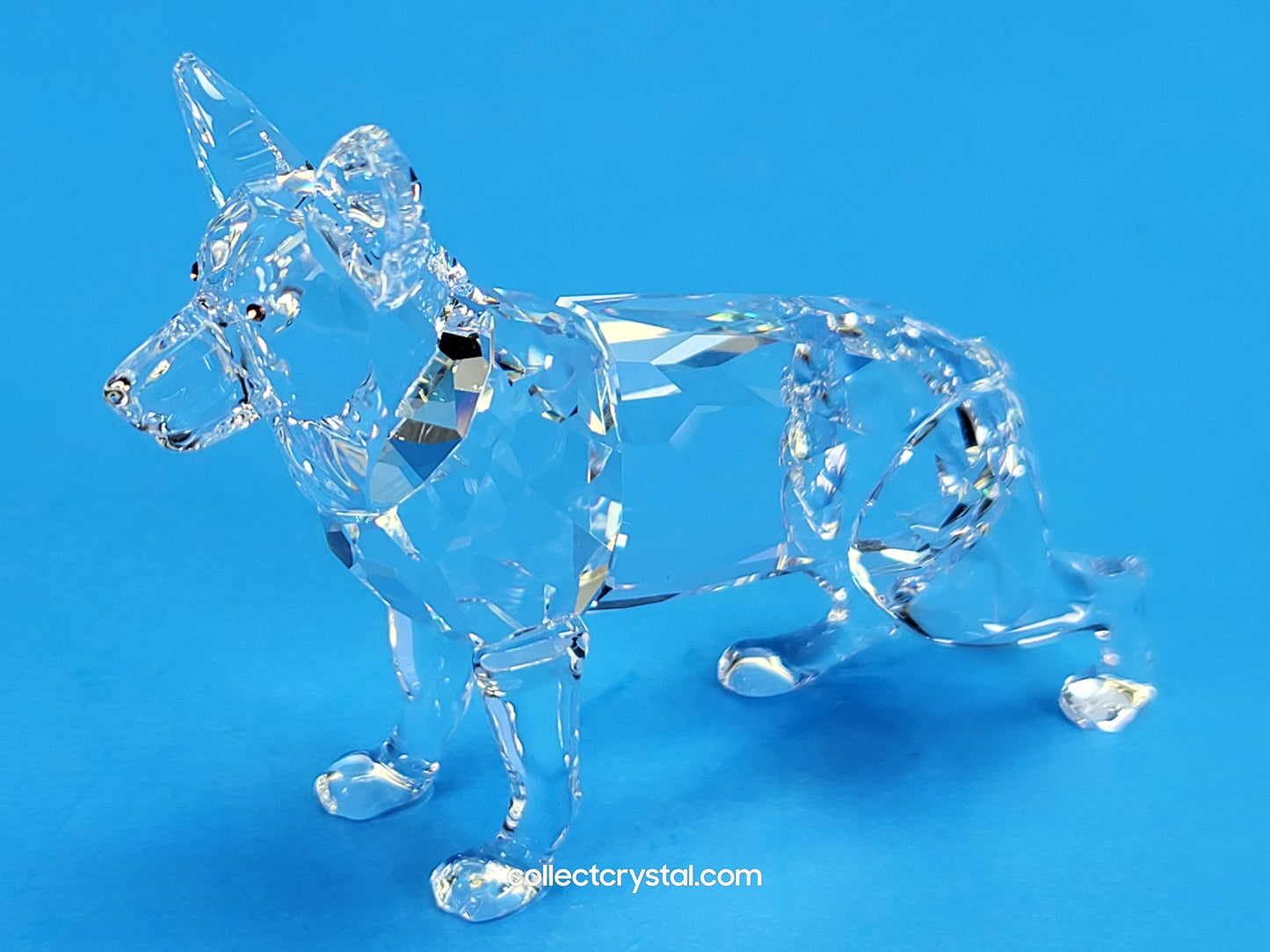 German Shepherd Dog # 235484 Retired 2004