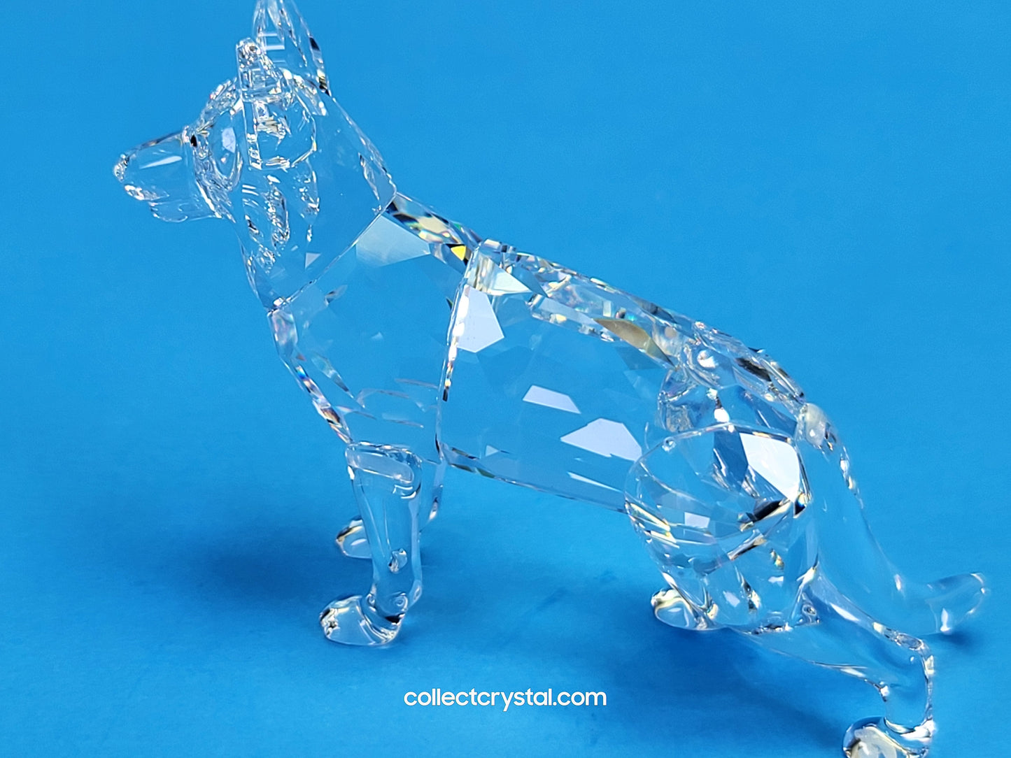 German Shepherd Dog # 235484 Retired 2004