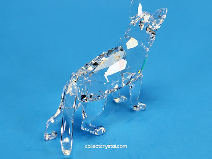 German Shepherd Dog # 235484 Retired 2004