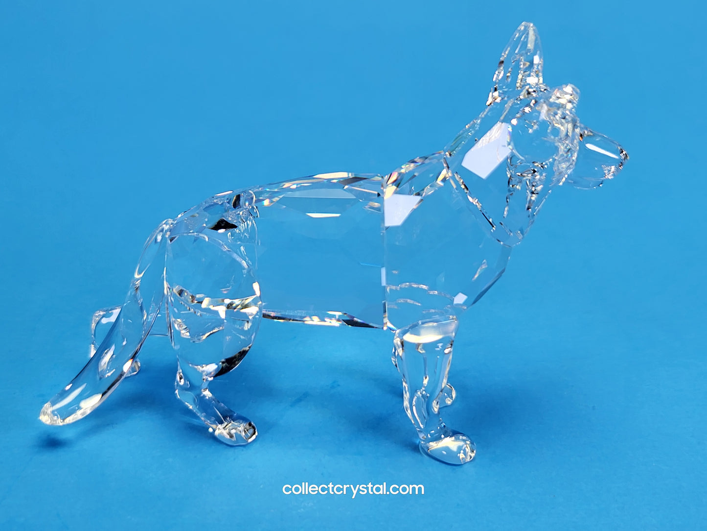 German Shepherd Dog # 235484 Retired 2004