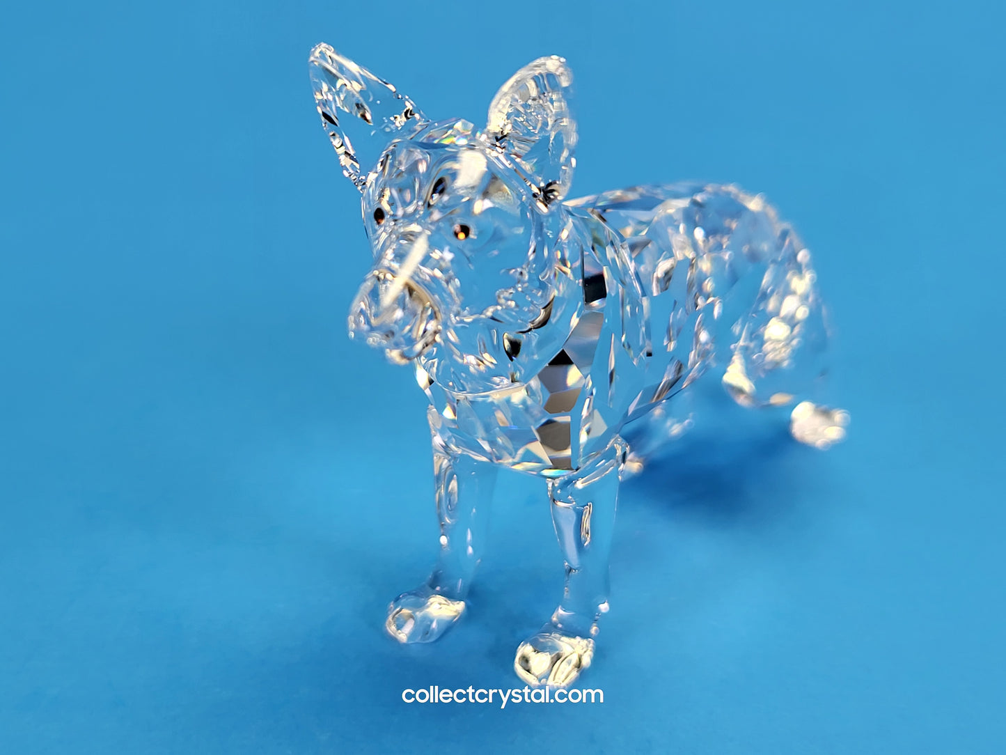 German Shepherd Dog # 235484 Retired 2004