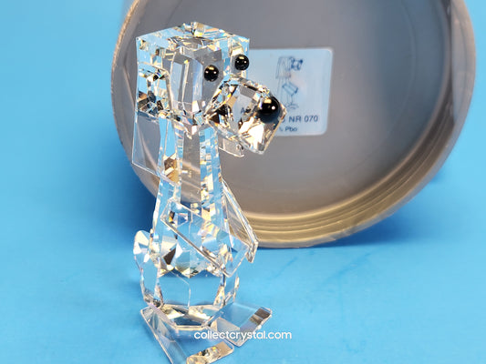 Pluto tall dog 010024
