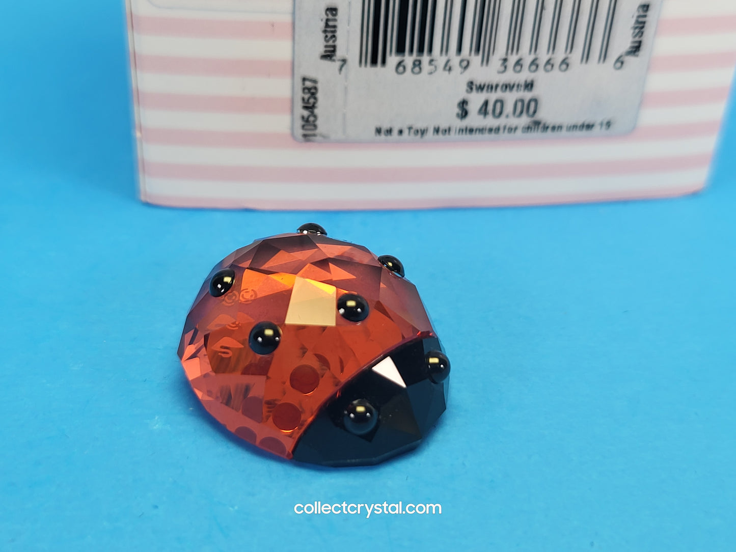 LUCKY LADYBIRD / LADYBUG 1054587