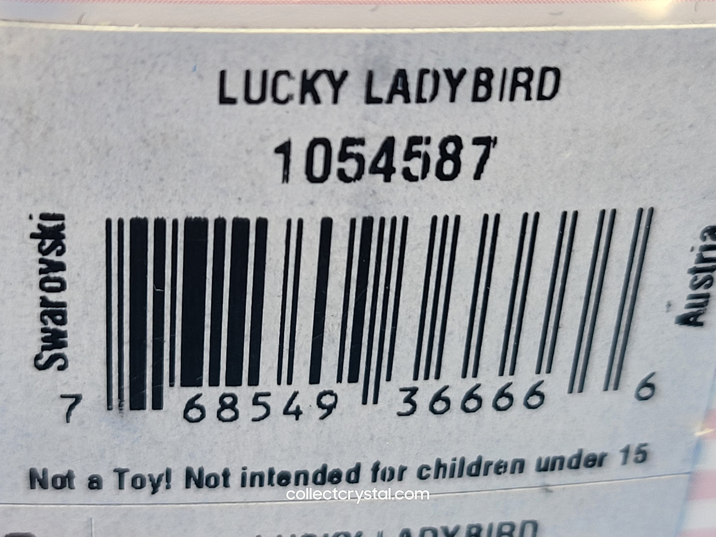 LUCKY LADYBIRD / LADYBUG 1054587