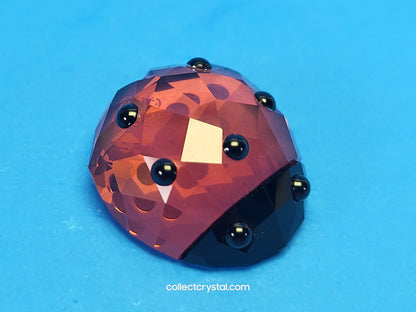 LUCKY LADYBIRD / LADYBUG 1054587