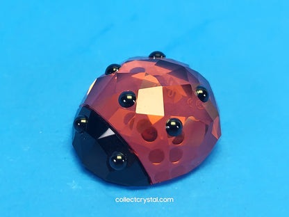 LUCKY LADYBIRD / LADYBUG 1054587