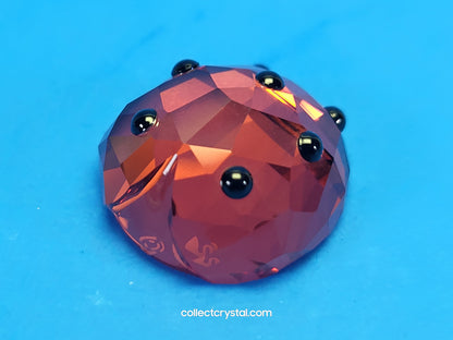 LUCKY LADYBIRD / LADYBUG 1054587