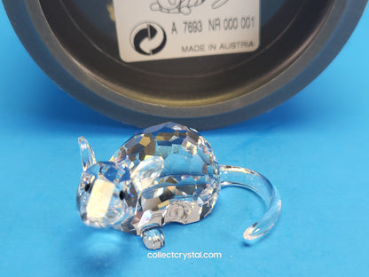 ZODIAC RAT 275436