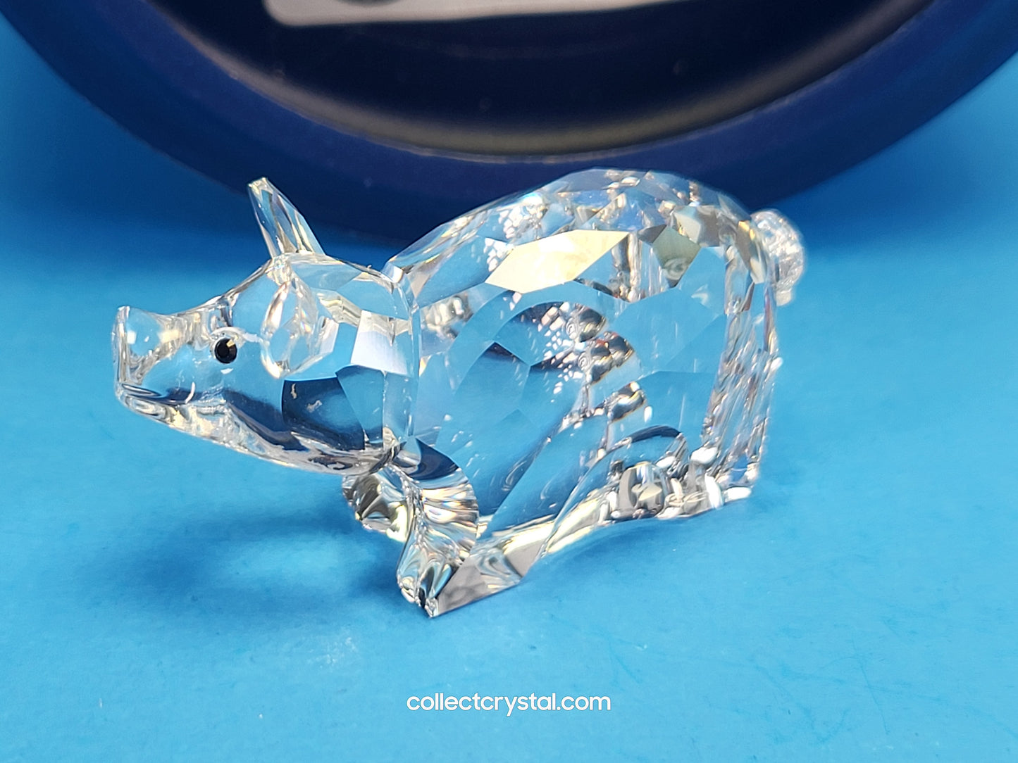 ZODIAC PIG 289914