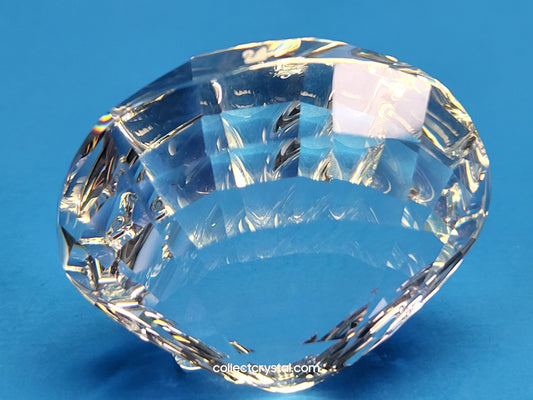 Wonders of the sea accessory scallop sea shell 833506