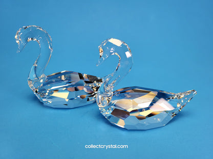 FLIRTING SWANS  Couple Set of 2 # 837154