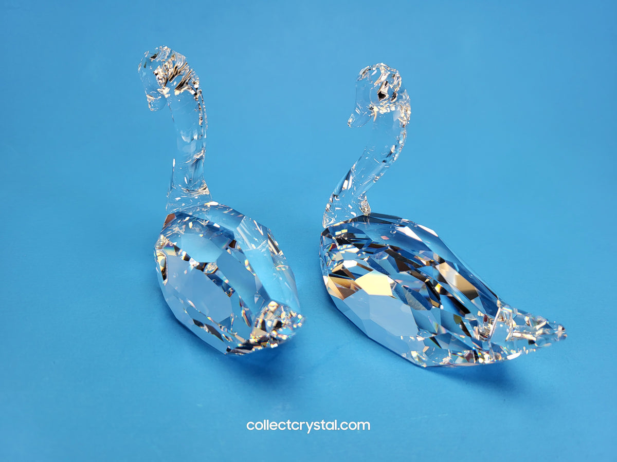 FLIRTING SWANS  Couple Set of 2 # 837154