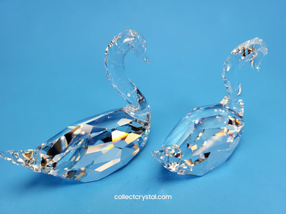 FLIRTING SWANS  Couple Set of 2 # 837154