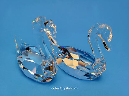 FLIRTING SWANS  Couple Set of 2 # 837154