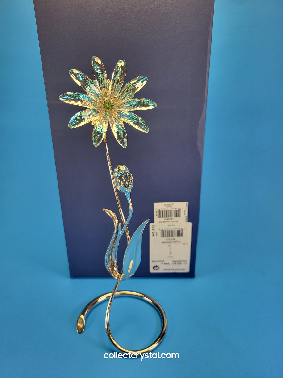 Dellaria Aquamarine - Paradise Flower s # 945872 Aurora Borealis