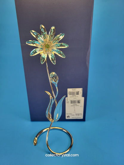 Dellaria Aquamarine - Paradise Flower s # 945872 Aurora Borealis