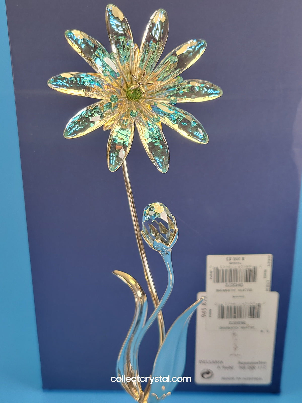Dellaria Aquamarine - Paradise Flower s # 945872 Aurora Borealis