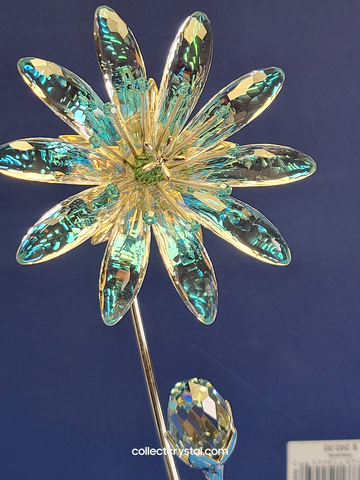 Dellaria Aquamarine - Paradise Flower s # 945872 Aurora Borealis