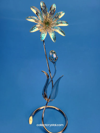 Dellaria Aquamarine - Paradise Flower s # 945872 Aurora Borealis