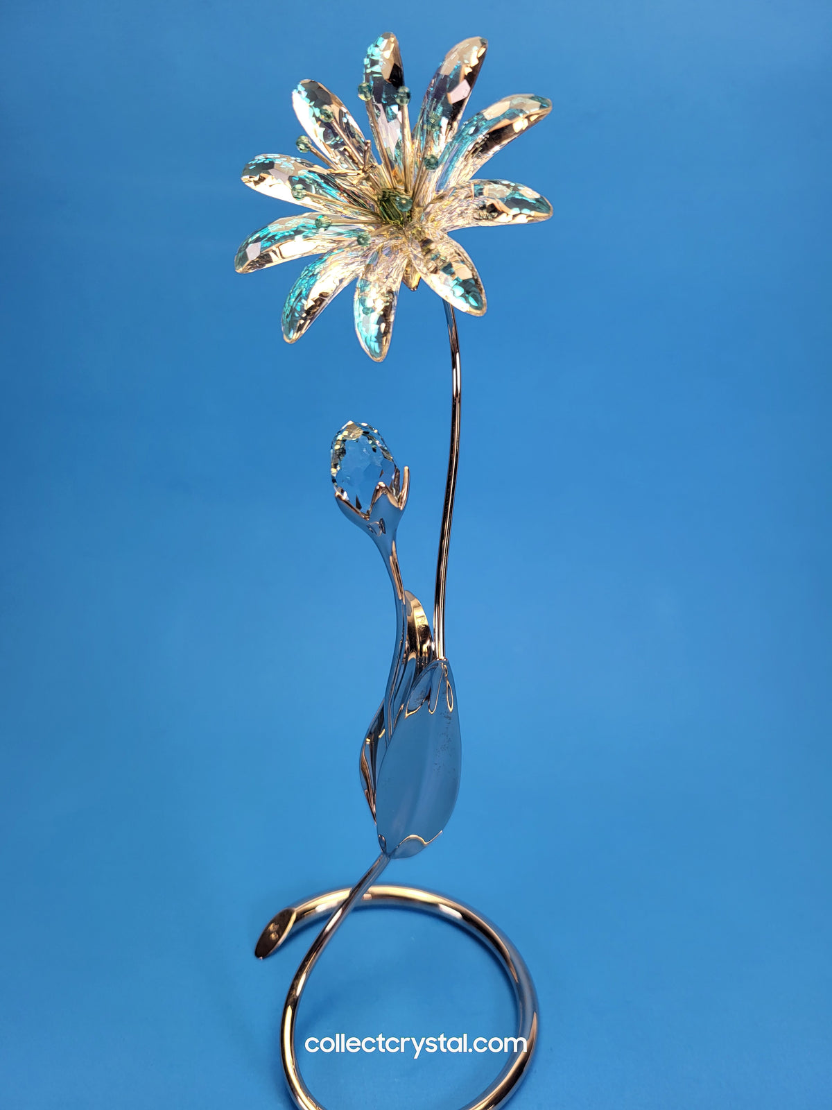 Dellaria Aquamarine - Paradise Flower s # 945872 Aurora Borealis