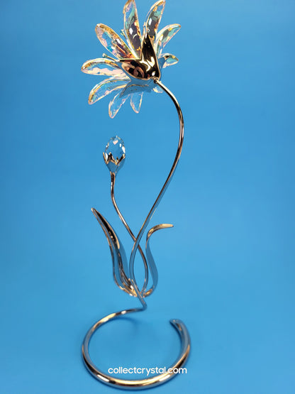 Dellaria Aquamarine - Paradise Flower s # 945872 Aurora Borealis