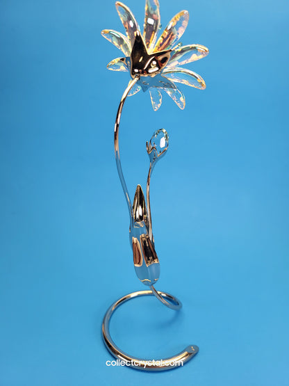 Dellaria Aquamarine - Paradise Flower s # 945872 Aurora Borealis