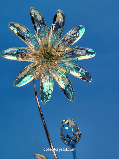 Dellaria Aquamarine - Paradise Flower s # 945872 Aurora Borealis