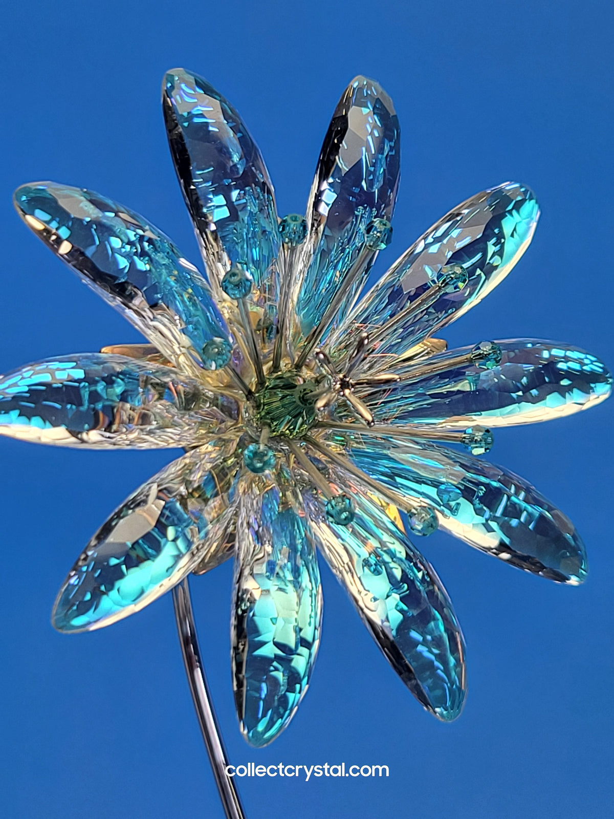 Dellaria Aquamarine - Paradise Flower s # 945872 Aurora Borealis