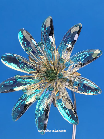 Dellaria Aquamarine - Paradise Flower s # 945872 Aurora Borealis