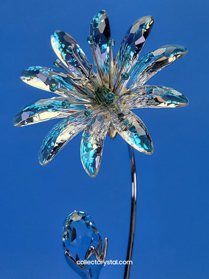 Dellaria Aquamarine - Paradise Flower s # 945872 Aurora Borealis