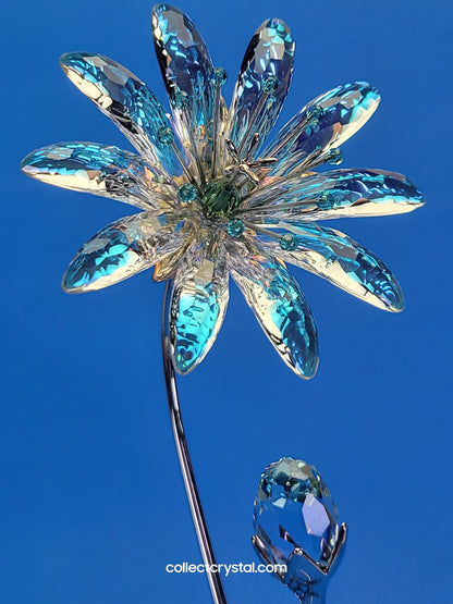Dellaria Aquamarine - Paradise Flower s # 945872 Aurora Borealis